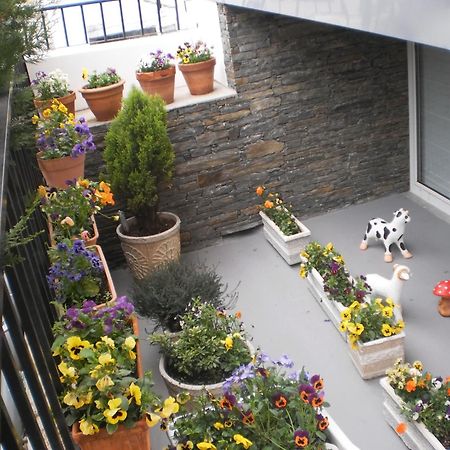 Hotel Santa Apolonia Bragança Buitenkant foto